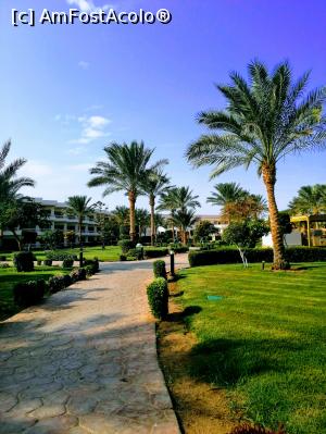 [P07]  -- <small>// FĂRĂ DESCRIERE</small> » foto by MonikIs
 - 
<span class="allrVoted glyphicon glyphicon-heart hidden" id="av1128528"></span>
<a class="m-l-10 hidden" id="sv1128528" onclick="voting_Foto_DelVot(,1128528,418)" role="button">șterge vot <span class="glyphicon glyphicon-remove"></span></a>
<a id="v91128528" class=" c-red"  onclick="voting_Foto_SetVot(1128528)" role="button"><span class="glyphicon glyphicon-heart-empty"></span> <b>LIKE</b> = Votează poza</a> <img class="hidden"  id="f1128528W9" src="/imagini/loader.gif" border="0" /><span class="AjErrMes hidden" id="e1128528ErM"></span>