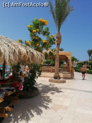 [P02] Incredibile culori!!!&Icirc;n zona cu pișcine. » foto by DanaRO
 - 
<span class="allrVoted glyphicon glyphicon-heart hidden" id="av1224709"></span>
<a class="m-l-10 hidden" id="sv1224709" onclick="voting_Foto_DelVot(,1224709,418)" role="button">șterge vot <span class="glyphicon glyphicon-remove"></span></a>
<a id="v91224709" class=" c-red"  onclick="voting_Foto_SetVot(1224709)" role="button"><span class="glyphicon glyphicon-heart-empty"></span> <b>LIKE</b> = Votează poza</a> <img class="hidden"  id="f1224709W9" src="/imagini/loader.gif" border="0" /><span class="AjErrMes hidden" id="e1224709ErM"></span>