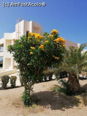 [P09] Multă vegetație, flori peste tot!!!! » foto by DanaRO
 - 
<span class="allrVoted glyphicon glyphicon-heart hidden" id="av1224716"></span>
<a class="m-l-10 hidden" id="sv1224716" onclick="voting_Foto_DelVot(,1224716,418)" role="button">șterge vot <span class="glyphicon glyphicon-remove"></span></a>
<a id="v91224716" class=" c-red"  onclick="voting_Foto_SetVot(1224716)" role="button"><span class="glyphicon glyphicon-heart-empty"></span> <b>LIKE</b> = Votează poza</a> <img class="hidden"  id="f1224716W9" src="/imagini/loader.gif" border="0" /><span class="AjErrMes hidden" id="e1224716ErM"></span>