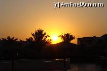 [P14] rasarit de soare in HURGADA » foto by cristy1200
 - 
<span class="allrVoted glyphicon glyphicon-heart hidden" id="av222512"></span>
<a class="m-l-10 hidden" id="sv222512" onclick="voting_Foto_DelVot(,222512,418)" role="button">șterge vot <span class="glyphicon glyphicon-remove"></span></a>
<a id="v9222512" class=" c-red"  onclick="voting_Foto_SetVot(222512)" role="button"><span class="glyphicon glyphicon-heart-empty"></span> <b>LIKE</b> = Votează poza</a> <img class="hidden"  id="f222512W9" src="/imagini/loader.gif" border="0" /><span class="AjErrMes hidden" id="e222512ErM"></span>