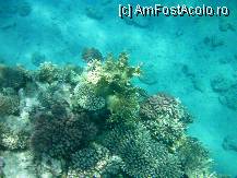 [P05] ca o gradina bine ingrijita » foto by cristy1200
 - 
<span class="allrVoted glyphicon glyphicon-heart hidden" id="av222493"></span>
<a class="m-l-10 hidden" id="sv222493" onclick="voting_Foto_DelVot(,222493,418)" role="button">șterge vot <span class="glyphicon glyphicon-remove"></span></a>
<a id="v9222493" class=" c-red"  onclick="voting_Foto_SetVot(222493)" role="button"><span class="glyphicon glyphicon-heart-empty"></span> <b>LIKE</b> = Votează poza</a> <img class="hidden"  id="f222493W9" src="/imagini/loader.gif" border="0" /><span class="AjErrMes hidden" id="e222493ErM"></span>