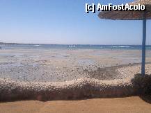 [P04]  -- <small>// FĂRĂ DESCRIERE</small> » foto by pedro35
 - 
<span class="allrVoted glyphicon glyphicon-heart hidden" id="av336853"></span>
<a class="m-l-10 hidden" id="sv336853" onclick="voting_Foto_DelVot(,336853,418)" role="button">șterge vot <span class="glyphicon glyphicon-remove"></span></a>
<a id="v9336853" class=" c-red"  onclick="voting_Foto_SetVot(336853)" role="button"><span class="glyphicon glyphicon-heart-empty"></span> <b>LIKE</b> = Votează poza</a> <img class="hidden"  id="f336853W9" src="/imagini/loader.gif" border="0" /><span class="AjErrMes hidden" id="e336853ErM"></span>