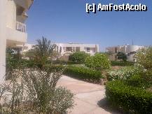 [P07]  -- <small>// FĂRĂ DESCRIERE</small> » foto by pedro35
 - 
<span class="allrVoted glyphicon glyphicon-heart hidden" id="av336856"></span>
<a class="m-l-10 hidden" id="sv336856" onclick="voting_Foto_DelVot(,336856,418)" role="button">șterge vot <span class="glyphicon glyphicon-remove"></span></a>
<a id="v9336856" class=" c-red"  onclick="voting_Foto_SetVot(336856)" role="button"><span class="glyphicon glyphicon-heart-empty"></span> <b>LIKE</b> = Votează poza</a> <img class="hidden"  id="f336856W9" src="/imagini/loader.gif" border="0" /><span class="AjErrMes hidden" id="e336856ErM"></span>