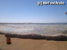 [P08]  -- <small>// FĂRĂ DESCRIERE</small> » foto by pedro35
 - 
<span class="allrVoted glyphicon glyphicon-heart hidden" id="av336857"></span>
<a class="m-l-10 hidden" id="sv336857" onclick="voting_Foto_DelVot(,336857,418)" role="button">șterge vot <span class="glyphicon glyphicon-remove"></span></a>
<a id="v9336857" class=" c-red"  onclick="voting_Foto_SetVot(336857)" role="button"><span class="glyphicon glyphicon-heart-empty"></span> <b>LIKE</b> = Votează poza</a> <img class="hidden"  id="f336857W9" src="/imagini/loader.gif" border="0" /><span class="AjErrMes hidden" id="e336857ErM"></span>