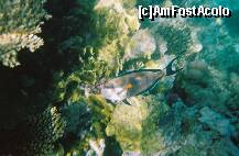 [P10]  -- <small>// FĂRĂ DESCRIERE</small> » foto by elia30
 - 
<span class="allrVoted glyphicon glyphicon-heart hidden" id="av159303"></span>
<a class="m-l-10 hidden" id="sv159303" onclick="voting_Foto_DelVot(,159303,418)" role="button">șterge vot <span class="glyphicon glyphicon-remove"></span></a>
<a id="v9159303" class=" c-red"  onclick="voting_Foto_SetVot(159303)" role="button"><span class="glyphicon glyphicon-heart-empty"></span> <b>LIKE</b> = Votează poza</a> <img class="hidden"  id="f159303W9" src="/imagini/loader.gif" border="0" /><span class="AjErrMes hidden" id="e159303ErM"></span>