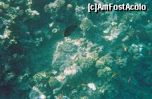 [P12]  -- <small>// FĂRĂ DESCRIERE</small> » foto by elia30
 - 
<span class="allrVoted glyphicon glyphicon-heart hidden" id="av159305"></span>
<a class="m-l-10 hidden" id="sv159305" onclick="voting_Foto_DelVot(,159305,418)" role="button">șterge vot <span class="glyphicon glyphicon-remove"></span></a>
<a id="v9159305" class=" c-red"  onclick="voting_Foto_SetVot(159305)" role="button"><span class="glyphicon glyphicon-heart-empty"></span> <b>LIKE</b> = Votează poza</a> <img class="hidden"  id="f159305W9" src="/imagini/loader.gif" border="0" /><span class="AjErrMes hidden" id="e159305ErM"></span>