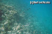 [P13]  -- <small>// FĂRĂ DESCRIERE</small> » foto by elia30
 - 
<span class="allrVoted glyphicon glyphicon-heart hidden" id="av159306"></span>
<a class="m-l-10 hidden" id="sv159306" onclick="voting_Foto_DelVot(,159306,418)" role="button">șterge vot <span class="glyphicon glyphicon-remove"></span></a>
<a id="v9159306" class=" c-red"  onclick="voting_Foto_SetVot(159306)" role="button"><span class="glyphicon glyphicon-heart-empty"></span> <b>LIKE</b> = Votează poza</a> <img class="hidden"  id="f159306W9" src="/imagini/loader.gif" border="0" /><span class="AjErrMes hidden" id="e159306ErM"></span>