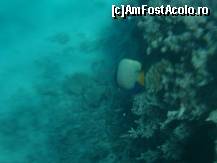 [P15]  -- <small>// FĂRĂ DESCRIERE</small> » foto by elia30
 - 
<span class="allrVoted glyphicon glyphicon-heart hidden" id="av159536"></span>
<a class="m-l-10 hidden" id="sv159536" onclick="voting_Foto_DelVot(,159536,418)" role="button">șterge vot <span class="glyphicon glyphicon-remove"></span></a>
<a id="v9159536" class=" c-red"  onclick="voting_Foto_SetVot(159536)" role="button"><span class="glyphicon glyphicon-heart-empty"></span> <b>LIKE</b> = Votează poza</a> <img class="hidden"  id="f159536W9" src="/imagini/loader.gif" border="0" /><span class="AjErrMes hidden" id="e159536ErM"></span>