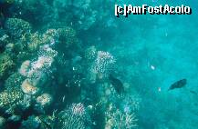 [P02]  -- <small>// FĂRĂ DESCRIERE</small> » foto by elia30
 - 
<span class="allrVoted glyphicon glyphicon-heart hidden" id="av159295"></span>
<a class="m-l-10 hidden" id="sv159295" onclick="voting_Foto_DelVot(,159295,418)" role="button">șterge vot <span class="glyphicon glyphicon-remove"></span></a>
<a id="v9159295" class=" c-red"  onclick="voting_Foto_SetVot(159295)" role="button"><span class="glyphicon glyphicon-heart-empty"></span> <b>LIKE</b> = Votează poza</a> <img class="hidden"  id="f159295W9" src="/imagini/loader.gif" border="0" /><span class="AjErrMes hidden" id="e159295ErM"></span>