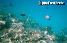 [P03]  -- <small>// FĂRĂ DESCRIERE</small> » foto by elia30
 - 
<span class="allrVoted glyphicon glyphicon-heart hidden" id="av159296"></span>
<a class="m-l-10 hidden" id="sv159296" onclick="voting_Foto_DelVot(,159296,418)" role="button">șterge vot <span class="glyphicon glyphicon-remove"></span></a>
<a id="v9159296" class=" c-red"  onclick="voting_Foto_SetVot(159296)" role="button"><span class="glyphicon glyphicon-heart-empty"></span> <b>LIKE</b> = Votează poza</a> <img class="hidden"  id="f159296W9" src="/imagini/loader.gif" border="0" /><span class="AjErrMes hidden" id="e159296ErM"></span>