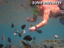 [P1x]  -- <small>// FĂRĂ DESCRIERE</small> » foto by trotilu*
 - 
<span class="allrVoted glyphicon glyphicon-heart hidden" id="av31493"></span>
<a class="m-l-10 hidden" id="sv31493" onclick="voting_Foto_DelVot(,31493,418)" role="button">șterge vot <span class="glyphicon glyphicon-remove"></span></a>
<a id="v931493" class=" c-red"  onclick="voting_Foto_SetVot(31493)" role="button"><span class="glyphicon glyphicon-heart-empty"></span> <b>LIKE</b> = Votează poza</a> <img class="hidden"  id="f31493W9" src="/imagini/loader.gif" border="0" /><span class="AjErrMes hidden" id="e31493ErM"></span>