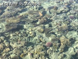 [P05]  -- <small>// FĂRĂ DESCRIERE</small> » foto by Roxelana
 - 
<span class="allrVoted glyphicon glyphicon-heart hidden" id="av1126413"></span>
<a class="m-l-10 hidden" id="sv1126413" onclick="voting_Foto_DelVot(,1126413,418)" role="button">șterge vot <span class="glyphicon glyphicon-remove"></span></a>
<a id="v91126413" class=" c-red"  onclick="voting_Foto_SetVot(1126413)" role="button"><span class="glyphicon glyphicon-heart-empty"></span> <b>LIKE</b> = Votează poza</a> <img class="hidden"  id="f1126413W9" src="/imagini/loader.gif" border="0" /><span class="AjErrMes hidden" id="e1126413ErM"></span>