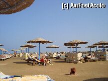 [P05] Vedere plaja hotel » foto by Tempo
 - 
<span class="allrVoted glyphicon glyphicon-heart hidden" id="av5229"></span>
<a class="m-l-10 hidden" id="sv5229" onclick="voting_Foto_DelVot(,5229,418)" role="button">șterge vot <span class="glyphicon glyphicon-remove"></span></a>
<a id="v95229" class=" c-red"  onclick="voting_Foto_SetVot(5229)" role="button"><span class="glyphicon glyphicon-heart-empty"></span> <b>LIKE</b> = Votează poza</a> <img class="hidden"  id="f5229W9" src="/imagini/loader.gif" border="0" /><span class="AjErrMes hidden" id="e5229ErM"></span>