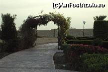 [P28]  -- <small>// FĂRĂ DESCRIERE</small> » foto by vera77
 - 
<span class="allrVoted glyphicon glyphicon-heart hidden" id="av298547"></span>
<a class="m-l-10 hidden" id="sv298547" onclick="voting_Foto_DelVot(,298547,418)" role="button">șterge vot <span class="glyphicon glyphicon-remove"></span></a>
<a id="v9298547" class=" c-red"  onclick="voting_Foto_SetVot(298547)" role="button"><span class="glyphicon glyphicon-heart-empty"></span> <b>LIKE</b> = Votează poza</a> <img class="hidden"  id="f298547W9" src="/imagini/loader.gif" border="0" /><span class="AjErrMes hidden" id="e298547ErM"></span>