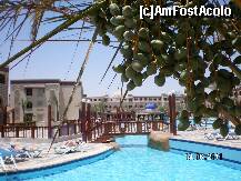 [P05] Minunatele piscine » foto by naicul63
 - 
<span class="allrVoted glyphicon glyphicon-heart hidden" id="av216359"></span>
<a class="m-l-10 hidden" id="sv216359" onclick="voting_Foto_DelVot(,216359,422)" role="button">șterge vot <span class="glyphicon glyphicon-remove"></span></a>
<a id="v9216359" class=" c-red"  onclick="voting_Foto_SetVot(216359)" role="button"><span class="glyphicon glyphicon-heart-empty"></span> <b>LIKE</b> = Votează poza</a> <img class="hidden"  id="f216359W9" src="/imagini/loader.gif" border="0" /><span class="AjErrMes hidden" id="e216359ErM"></span>