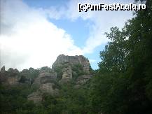 [P12] Alta frumusete... » foto by georgiana
 - 
<span class="allrVoted glyphicon glyphicon-heart hidden" id="av30920"></span>
<a class="m-l-10 hidden" id="sv30920" onclick="voting_Foto_DelVot(,30920,430)" role="button">șterge vot <span class="glyphicon glyphicon-remove"></span></a>
<a id="v930920" class=" c-red"  onclick="voting_Foto_SetVot(30920)" role="button"><span class="glyphicon glyphicon-heart-empty"></span> <b>LIKE</b> = Votează poza</a> <img class="hidden"  id="f30920W9" src="/imagini/loader.gif" border="0" /><span class="AjErrMes hidden" id="e30920ErM"></span>