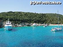 [P01] Paxos » foto by agabi
 - 
<span class="allrVoted glyphicon glyphicon-heart hidden" id="av259680"></span>
<a class="m-l-10 hidden" id="sv259680" onclick="voting_Foto_DelVot(,259680,434)" role="button">șterge vot <span class="glyphicon glyphicon-remove"></span></a>
<a id="v9259680" class=" c-red"  onclick="voting_Foto_SetVot(259680)" role="button"><span class="glyphicon glyphicon-heart-empty"></span> <b>LIKE</b> = Votează poza</a> <img class="hidden"  id="f259680W9" src="/imagini/loader.gif" border="0" /><span class="AjErrMes hidden" id="e259680ErM"></span>