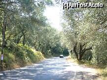 [P02] Drumul spre Glyfada, printre maslini » foto by dragos1985
 - 
<span class="allrVoted glyphicon glyphicon-heart hidden" id="av120908"></span>
<a class="m-l-10 hidden" id="sv120908" onclick="voting_Foto_DelVot(,120908,434)" role="button">șterge vot <span class="glyphicon glyphicon-remove"></span></a>
<a id="v9120908" class=" c-red"  onclick="voting_Foto_SetVot(120908)" role="button"><span class="glyphicon glyphicon-heart-empty"></span> <b>LIKE</b> = Votează poza</a> <img class="hidden"  id="f120908W9" src="/imagini/loader.gif" border="0" /><span class="AjErrMes hidden" id="e120908ErM"></span>