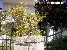 [P04] Afytos, gradina cu portocal, sat traditional turistic » foto by livioarel*
 - 
<span class="allrVoted glyphicon glyphicon-heart hidden" id="av306670"></span>
<a class="m-l-10 hidden" id="sv306670" onclick="voting_Foto_DelVot(,306670,446)" role="button">șterge vot <span class="glyphicon glyphicon-remove"></span></a>
<a id="v9306670" class=" c-red"  onclick="voting_Foto_SetVot(306670)" role="button"><span class="glyphicon glyphicon-heart-empty"></span> <b>LIKE</b> = Votează poza</a> <img class="hidden"  id="f306670W9" src="/imagini/loader.gif" border="0" /><span class="AjErrMes hidden" id="e306670ErM"></span>