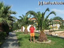 [P04] Complex Aristoteles Beach » foto by ciprian
 - 
<span class="allrVoted glyphicon glyphicon-heart hidden" id="av768"></span>
<a class="m-l-10 hidden" id="sv768" onclick="voting_Foto_DelVot(,768,446)" role="button">șterge vot <span class="glyphicon glyphicon-remove"></span></a>
<a id="v9768" class=" c-red"  onclick="voting_Foto_SetVot(768)" role="button"><span class="glyphicon glyphicon-heart-empty"></span> <b>LIKE</b> = Votează poza</a> <img class="hidden"  id="f768W9" src="/imagini/loader.gif" border="0" /><span class="AjErrMes hidden" id="e768ErM"></span>