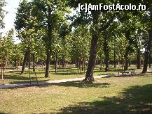 [P12] Asa arata un parc in Viena » foto by krondia*
 - 
<span class="allrVoted glyphicon glyphicon-heart hidden" id="av42274"></span>
<a class="m-l-10 hidden" id="sv42274" onclick="voting_Foto_DelVot(,42274,449)" role="button">șterge vot <span class="glyphicon glyphicon-remove"></span></a>
<a id="v942274" class=" c-red"  onclick="voting_Foto_SetVot(42274)" role="button"><span class="glyphicon glyphicon-heart-empty"></span> <b>LIKE</b> = Votează poza</a> <img class="hidden"  id="f42274W9" src="/imagini/loader.gif" border="0" /><span class="AjErrMes hidden" id="e42274ErM"></span>