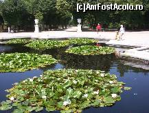 [P04] Un lac minunat cu nuferi la Schonbrun » foto by krondia*
 - 
<span class="allrVoted glyphicon glyphicon-heart hidden" id="av42266"></span>
<a class="m-l-10 hidden" id="sv42266" onclick="voting_Foto_DelVot(,42266,449)" role="button">șterge vot <span class="glyphicon glyphicon-remove"></span></a>
<a id="v942266" class=" c-red"  onclick="voting_Foto_SetVot(42266)" role="button"><span class="glyphicon glyphicon-heart-empty"></span> <b>LIKE</b> = Votează poza</a> <img class="hidden"  id="f42266W9" src="/imagini/loader.gif" border="0" /><span class="AjErrMes hidden" id="e42266ErM"></span>