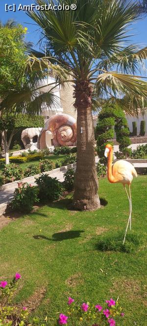 [P05] prin resort... » foto by Iulia_euxin
 - 
<span class="allrVoted glyphicon glyphicon-heart hidden" id="av1334782"></span>
<a class="m-l-10 hidden" id="sv1334782" onclick="voting_Foto_DelVot(,1334782,454)" role="button">șterge vot <span class="glyphicon glyphicon-remove"></span></a>
<a id="v91334782" class=" c-red"  onclick="voting_Foto_SetVot(1334782)" role="button"><span class="glyphicon glyphicon-heart-empty"></span> <b>LIKE</b> = Votează poza</a> <img class="hidden"  id="f1334782W9" src="/imagini/loader.gif" border="0" /><span class="AjErrMes hidden" id="e1334782ErM"></span>