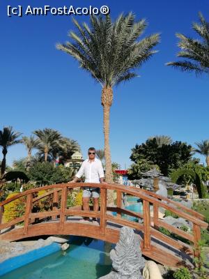 [P01] În resort ca în parc » foto by rolandgabriel
 - 
<span class="allrVoted glyphicon glyphicon-heart hidden" id="av1140049"></span>
<a class="m-l-10 hidden" id="sv1140049" onclick="voting_Foto_DelVot(,1140049,454)" role="button">șterge vot <span class="glyphicon glyphicon-remove"></span></a>
<a id="v91140049" class=" c-red"  onclick="voting_Foto_SetVot(1140049)" role="button"><span class="glyphicon glyphicon-heart-empty"></span> <b>LIKE</b> = Votează poza</a> <img class="hidden"  id="f1140049W9" src="/imagini/loader.gif" border="0" /><span class="AjErrMes hidden" id="e1140049ErM"></span>
