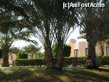 [P24] in Gradina H.Sonesta » foto by rsimona
 - 
<span class="allrVoted glyphicon glyphicon-heart hidden" id="av212045"></span>
<a class="m-l-10 hidden" id="sv212045" onclick="voting_Foto_DelVot(,212045,458)" role="button">șterge vot <span class="glyphicon glyphicon-remove"></span></a>
<a id="v9212045" class=" c-red"  onclick="voting_Foto_SetVot(212045)" role="button"><span class="glyphicon glyphicon-heart-empty"></span> <b>LIKE</b> = Votează poza</a> <img class="hidden"  id="f212045W9" src="/imagini/loader.gif" border="0" /><span class="AjErrMes hidden" id="e212045ErM"></span>