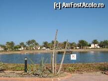 [P04] un mic lac intre hotel si mare[distanata de vreo 300m] » foto by rsimona
 - 
<span class="allrVoted glyphicon glyphicon-heart hidden" id="av211695"></span>
<a class="m-l-10 hidden" id="sv211695" onclick="voting_Foto_DelVot(,211695,458)" role="button">șterge vot <span class="glyphicon glyphicon-remove"></span></a>
<a id="v9211695" class=" c-red"  onclick="voting_Foto_SetVot(211695)" role="button"><span class="glyphicon glyphicon-heart-empty"></span> <b>LIKE</b> = Votează poza</a> <img class="hidden"  id="f211695W9" src="/imagini/loader.gif" border="0" /><span class="AjErrMes hidden" id="e211695ErM"></span>