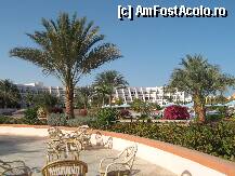 [P07]  -- <small>// FĂRĂ DESCRIERE</small> » foto by rsimona
 - 
<span class="allrVoted glyphicon glyphicon-heart hidden" id="av211699"></span>
<a class="m-l-10 hidden" id="sv211699" onclick="voting_Foto_DelVot(,211699,458)" role="button">șterge vot <span class="glyphicon glyphicon-remove"></span></a>
<a id="v9211699" class=" c-red"  onclick="voting_Foto_SetVot(211699)" role="button"><span class="glyphicon glyphicon-heart-empty"></span> <b>LIKE</b> = Votează poza</a> <img class="hidden"  id="f211699W9" src="/imagini/loader.gif" border="0" /><span class="AjErrMes hidden" id="e211699ErM"></span>