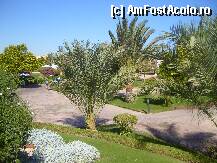 [P03] O particica din imensul parc  » foto by BLUISH
 - 
<span class="allrVoted glyphicon glyphicon-heart hidden" id="av5732"></span>
<a class="m-l-10 hidden" id="sv5732" onclick="voting_Foto_DelVot(,5732,458)" role="button">șterge vot <span class="glyphicon glyphicon-remove"></span></a>
<a id="v95732" class=" c-red"  onclick="voting_Foto_SetVot(5732)" role="button"><span class="glyphicon glyphicon-heart-empty"></span> <b>LIKE</b> = Votează poza</a> <img class="hidden"  id="f5732W9" src="/imagini/loader.gif" border="0" /><span class="AjErrMes hidden" id="e5732ErM"></span>