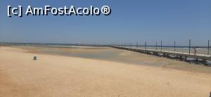 [P11] Pontonul » foto by avumit
 - 
<span class="allrVoted glyphicon glyphicon-heart hidden" id="av1239332"></span>
<a class="m-l-10 hidden" id="sv1239332" onclick="voting_Foto_DelVot(,1239332,458)" role="button">șterge vot <span class="glyphicon glyphicon-remove"></span></a>
<a id="v91239332" class=" c-red"  onclick="voting_Foto_SetVot(1239332)" role="button"><span class="glyphicon glyphicon-heart-empty"></span> <b>LIKE</b> = Votează poza</a> <img class="hidden"  id="f1239332W9" src="/imagini/loader.gif" border="0" /><span class="AjErrMes hidden" id="e1239332ErM"></span>