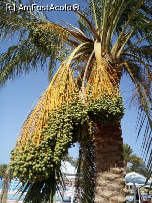 [P14]  -- <small>// FĂRĂ DESCRIERE</small> » foto by soacramea13
 - 
<span class="allrVoted glyphicon glyphicon-heart hidden" id="av876582"></span>
<a class="m-l-10 hidden" id="sv876582" onclick="voting_Foto_DelVot(,876582,458)" role="button">șterge vot <span class="glyphicon glyphicon-remove"></span></a>
<a id="v9876582" class=" c-red"  onclick="voting_Foto_SetVot(876582)" role="button"><span class="glyphicon glyphicon-heart-empty"></span> <b>LIKE</b> = Votează poza</a> <img class="hidden"  id="f876582W9" src="/imagini/loader.gif" border="0" /><span class="AjErrMes hidden" id="e876582ErM"></span>