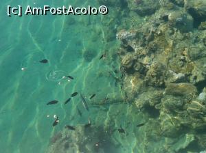 [P16]  -- <small>// FĂRĂ DESCRIERE</small> » foto by soacramea13
 - 
<span class="allrVoted glyphicon glyphicon-heart hidden" id="av876584"></span>
<a class="m-l-10 hidden" id="sv876584" onclick="voting_Foto_DelVot(,876584,458)" role="button">șterge vot <span class="glyphicon glyphicon-remove"></span></a>
<a id="v9876584" class=" c-red"  onclick="voting_Foto_SetVot(876584)" role="button"><span class="glyphicon glyphicon-heart-empty"></span> <b>LIKE</b> = Votează poza</a> <img class="hidden"  id="f876584W9" src="/imagini/loader.gif" border="0" /><span class="AjErrMes hidden" id="e876584ErM"></span>