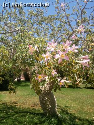 [P04]  -- <small>// FĂRĂ DESCRIERE</small> » foto by soacramea13
 - 
<span class="allrVoted glyphicon glyphicon-heart hidden" id="av876564"></span>
<a class="m-l-10 hidden" id="sv876564" onclick="voting_Foto_DelVot(,876564,458)" role="button">șterge vot <span class="glyphicon glyphicon-remove"></span></a>
<a id="v9876564" class=" c-red"  onclick="voting_Foto_SetVot(876564)" role="button"><span class="glyphicon glyphicon-heart-empty"></span> <b>LIKE</b> = Votează poza</a> <img class="hidden"  id="f876564W9" src="/imagini/loader.gif" border="0" /><span class="AjErrMes hidden" id="e876564ErM"></span>