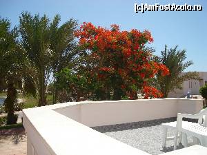 [P07] Gradina.  » foto by Giorgios
 - 
<span class="allrVoted glyphicon glyphicon-heart hidden" id="av638148"></span>
<a class="m-l-10 hidden" id="sv638148" onclick="voting_Foto_DelVot(,638148,458)" role="button">șterge vot <span class="glyphicon glyphicon-remove"></span></a>
<a id="v9638148" class=" c-red"  onclick="voting_Foto_SetVot(638148)" role="button"><span class="glyphicon glyphicon-heart-empty"></span> <b>LIKE</b> = Votează poza</a> <img class="hidden"  id="f638148W9" src="/imagini/loader.gif" border="0" /><span class="AjErrMes hidden" id="e638148ErM"></span>