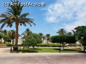 [P01]  -- <small>// FĂRĂ DESCRIERE</small> » foto by dimonty
 - 
<span class="allrVoted glyphicon glyphicon-heart hidden" id="av1083882"></span>
<a class="m-l-10 hidden" id="sv1083882" onclick="voting_Foto_DelVot(,1083882,458)" role="button">șterge vot <span class="glyphicon glyphicon-remove"></span></a>
<a id="v91083882" class=" c-red"  onclick="voting_Foto_SetVot(1083882)" role="button"><span class="glyphicon glyphicon-heart-empty"></span> <b>LIKE</b> = Votează poza</a> <img class="hidden"  id="f1083882W9" src="/imagini/loader.gif" border="0" /><span class="AjErrMes hidden" id="e1083882ErM"></span>