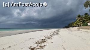 [P42] Diani Beach » foto by robert
 - 
<span class="allrVoted glyphicon glyphicon-heart hidden" id="av1247701"></span>
<a class="m-l-10 hidden" id="sv1247701" onclick="voting_Foto_DelVot(,1247701,459)" role="button">șterge vot <span class="glyphicon glyphicon-remove"></span></a>
<a id="v91247701" class=" c-red"  onclick="voting_Foto_SetVot(1247701)" role="button"><span class="glyphicon glyphicon-heart-empty"></span> <b>LIKE</b> = Votează poza</a> <img class="hidden"  id="f1247701W9" src="/imagini/loader.gif" border="0" /><span class="AjErrMes hidden" id="e1247701ErM"></span>