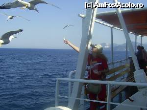 [P03] Pe ferry pescarusii iti mananca din palma...  » foto by amarili
 - 
<span class="allrVoted glyphicon glyphicon-heart hidden" id="av344399"></span>
<a class="m-l-10 hidden" id="sv344399" onclick="voting_Foto_DelVot(,344399,460)" role="button">șterge vot <span class="glyphicon glyphicon-remove"></span></a>
<a id="v9344399" class=" c-red"  onclick="voting_Foto_SetVot(344399)" role="button"><span class="glyphicon glyphicon-heart-empty"></span> <b>LIKE</b> = Votează poza</a> <img class="hidden"  id="f344399W9" src="/imagini/loader.gif" border="0" /><span class="AjErrMes hidden" id="e344399ErM"></span>