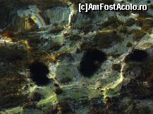 [P19] si aricii de mare sunt prietenii nostrii, nu-i asa? » foto by recul*
 - 
<span class="allrVoted glyphicon glyphicon-heart hidden" id="av100117"></span>
<a class="m-l-10 hidden" id="sv100117" onclick="voting_Foto_DelVot(,100117,460)" role="button">șterge vot <span class="glyphicon glyphicon-remove"></span></a>
<a id="v9100117" class=" c-red"  onclick="voting_Foto_SetVot(100117)" role="button"><span class="glyphicon glyphicon-heart-empty"></span> <b>LIKE</b> = Votează poza</a> <img class="hidden"  id="f100117W9" src="/imagini/loader.gif" border="0" /><span class="AjErrMes hidden" id="e100117ErM"></span>
