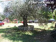 [P29] curtea vilei unde am fost cazati,cu locul de joaca pentru copii » foto by recul*
 - 
<span class="allrVoted glyphicon glyphicon-heart hidden" id="av100127"></span>
<a class="m-l-10 hidden" id="sv100127" onclick="voting_Foto_DelVot(,100127,460)" role="button">șterge vot <span class="glyphicon glyphicon-remove"></span></a>
<a id="v9100127" class=" c-red"  onclick="voting_Foto_SetVot(100127)" role="button"><span class="glyphicon glyphicon-heart-empty"></span> <b>LIKE</b> = Votează poza</a> <img class="hidden"  id="f100127W9" src="/imagini/loader.gif" border="0" /><span class="AjErrMes hidden" id="e100127ErM"></span>