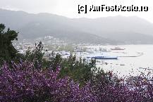 [P17] vedere spre Thassos » foto by amero
 - 
<span class="allrVoted glyphicon glyphicon-heart hidden" id="av311854"></span>
<a class="m-l-10 hidden" id="sv311854" onclick="voting_Foto_DelVot(,311854,460)" role="button">șterge vot <span class="glyphicon glyphicon-remove"></span></a>
<a id="v9311854" class=" c-red"  onclick="voting_Foto_SetVot(311854)" role="button"><span class="glyphicon glyphicon-heart-empty"></span> <b>LIKE</b> = Votează poza</a> <img class="hidden"  id="f311854W9" src="/imagini/loader.gif" border="0" /><span class="AjErrMes hidden" id="e311854ErM"></span>