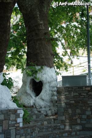 [P15] Unul dintre platanii cu inimioare - scorbură din Panagia » foto by ariciu*
 - 
<span class="allrVoted glyphicon glyphicon-heart hidden" id="av426821"></span>
<a class="m-l-10 hidden" id="sv426821" onclick="voting_Foto_DelVot(,426821,460)" role="button">șterge vot <span class="glyphicon glyphicon-remove"></span></a>
<a id="v9426821" class=" c-red"  onclick="voting_Foto_SetVot(426821)" role="button"><span class="glyphicon glyphicon-heart-empty"></span> <b>LIKE</b> = Votează poza</a> <img class="hidden"  id="f426821W9" src="/imagini/loader.gif" border="0" /><span class="AjErrMes hidden" id="e426821ErM"></span>