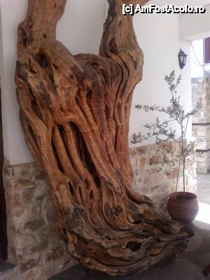 [P04] Măslinul vechi de 300 de ani de la intrarea în magazinul fabricii Sotirelis » foto by ariciu*
 - 
<span class="allrVoted glyphicon glyphicon-heart hidden" id="av426810"></span>
<a class="m-l-10 hidden" id="sv426810" onclick="voting_Foto_DelVot(,426810,460)" role="button">șterge vot <span class="glyphicon glyphicon-remove"></span></a>
<a id="v9426810" class=" c-red"  onclick="voting_Foto_SetVot(426810)" role="button"><span class="glyphicon glyphicon-heart-empty"></span> <b>LIKE</b> = Votează poza</a> <img class="hidden"  id="f426810W9" src="/imagini/loader.gif" border="0" /><span class="AjErrMes hidden" id="e426810ErM"></span>