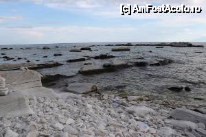 [P51] În sfârşit am descoperit Poarta Stelară spre o altă dimensiune » foto by ariciu*
 - 
<span class="allrVoted glyphicon glyphicon-heart hidden" id="av426861"></span>
<a class="m-l-10 hidden" id="sv426861" onclick="voting_Foto_DelVot(,426861,460)" role="button">șterge vot <span class="glyphicon glyphicon-remove"></span></a>
<a id="v9426861" class=" c-red"  onclick="voting_Foto_SetVot(426861)" role="button"><span class="glyphicon glyphicon-heart-empty"></span> <b>LIKE</b> = Votează poza</a> <img class="hidden"  id="f426861W9" src="/imagini/loader.gif" border="0" /><span class="AjErrMes hidden" id="e426861ErM"></span>