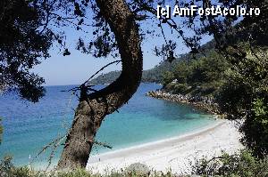 [P21] Marble beach vedere de sus » foto by grigo*
 - 
<span class="allrVoted glyphicon glyphicon-heart hidden" id="av423164"></span>
<a class="m-l-10 hidden" id="sv423164" onclick="voting_Foto_DelVot(,423164,460)" role="button">șterge vot <span class="glyphicon glyphicon-remove"></span></a>
<a id="v9423164" class=" c-red"  onclick="voting_Foto_SetVot(423164)" role="button"><span class="glyphicon glyphicon-heart-empty"></span> <b>LIKE</b> = Votează poza</a> <img class="hidden"  id="f423164W9" src="/imagini/loader.gif" border="0" /><span class="AjErrMes hidden" id="e423164ErM"></span>