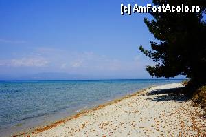 [P35] Plaja in Thassos » foto by grigo*
 - 
<span class="allrVoted glyphicon glyphicon-heart hidden" id="av423183"></span>
<a class="m-l-10 hidden" id="sv423183" onclick="voting_Foto_DelVot(,423183,460)" role="button">șterge vot <span class="glyphicon glyphicon-remove"></span></a>
<a id="v9423183" class=" c-red"  onclick="voting_Foto_SetVot(423183)" role="button"><span class="glyphicon glyphicon-heart-empty"></span> <b>LIKE</b> = Votează poza</a> <img class="hidden"  id="f423183W9" src="/imagini/loader.gif" border="0" /><span class="AjErrMes hidden" id="e423183ErM"></span>