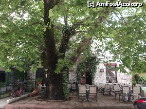 [P27] Si o taverna frumoasa, tot in Limenas » foto by Aurici
 - 
<span class="allrVoted glyphicon glyphicon-heart hidden" id="av624995"></span>
<a class="m-l-10 hidden" id="sv624995" onclick="voting_Foto_DelVot(,624995,460)" role="button">șterge vot <span class="glyphicon glyphicon-remove"></span></a>
<a id="v9624995" class=" c-red"  onclick="voting_Foto_SetVot(624995)" role="button"><span class="glyphicon glyphicon-heart-empty"></span> <b>LIKE</b> = Votează poza</a> <img class="hidden"  id="f624995W9" src="/imagini/loader.gif" border="0" /><span class="AjErrMes hidden" id="e624995ErM"></span>