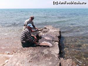 [P59] In Skala Kallirachis - la batut de caracatite » foto by Aurici
 - 
<span class="allrVoted glyphicon glyphicon-heart hidden" id="av625027"></span>
<a class="m-l-10 hidden" id="sv625027" onclick="voting_Foto_DelVot(,625027,460)" role="button">șterge vot <span class="glyphicon glyphicon-remove"></span></a>
<a id="v9625027" class=" c-red"  onclick="voting_Foto_SetVot(625027)" role="button"><span class="glyphicon glyphicon-heart-empty"></span> <b>LIKE</b> = Votează poza</a> <img class="hidden"  id="f625027W9" src="/imagini/loader.gif" border="0" /><span class="AjErrMes hidden" id="e625027ErM"></span>